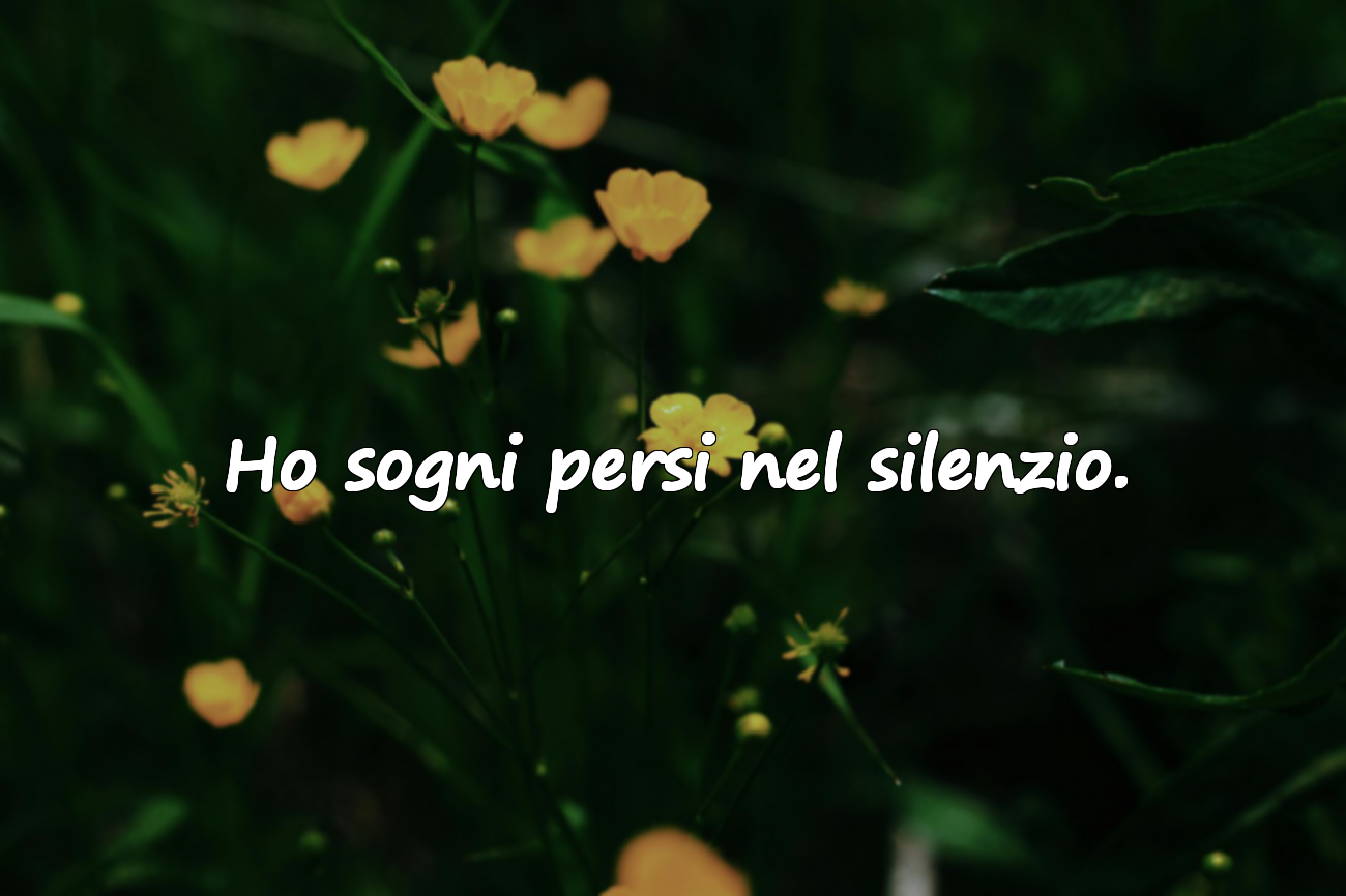 Ho sogni persi nel silenzio.