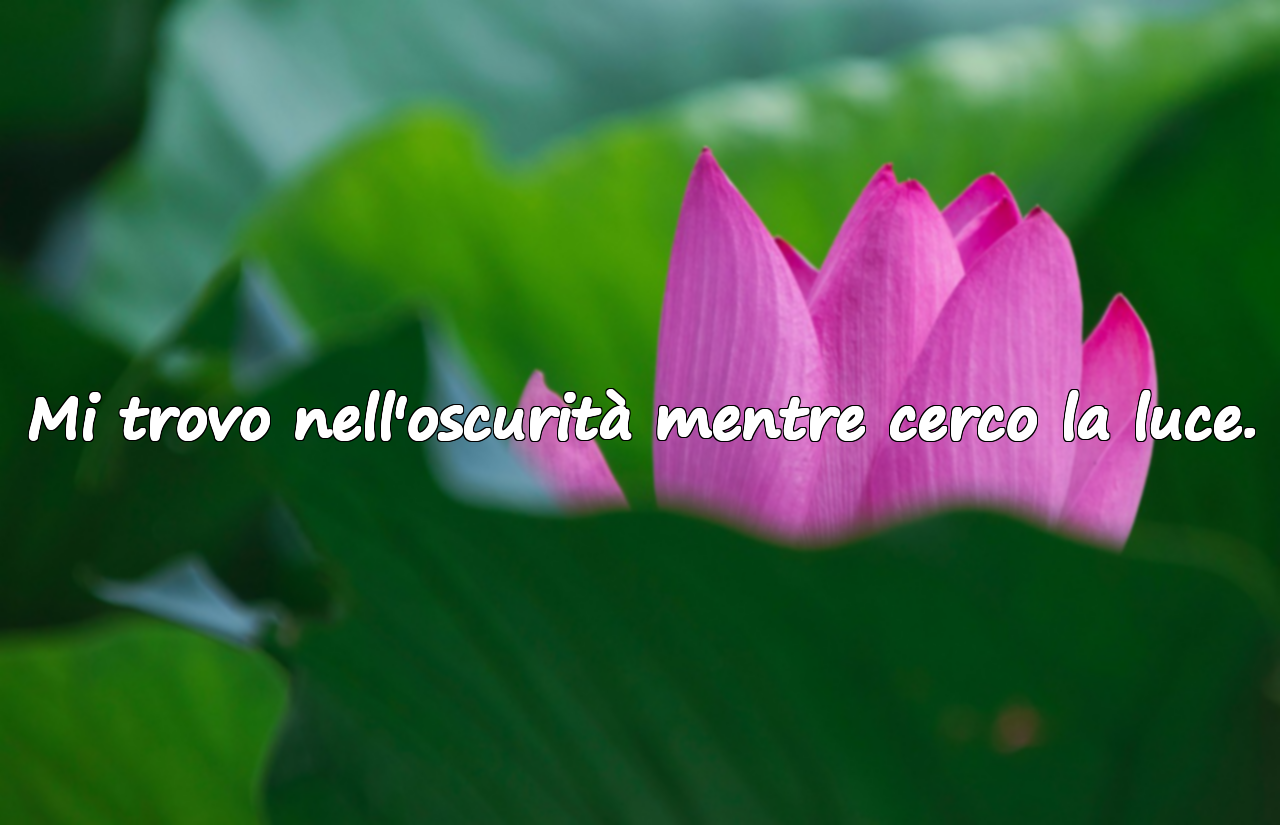 Frasi Melanconiche