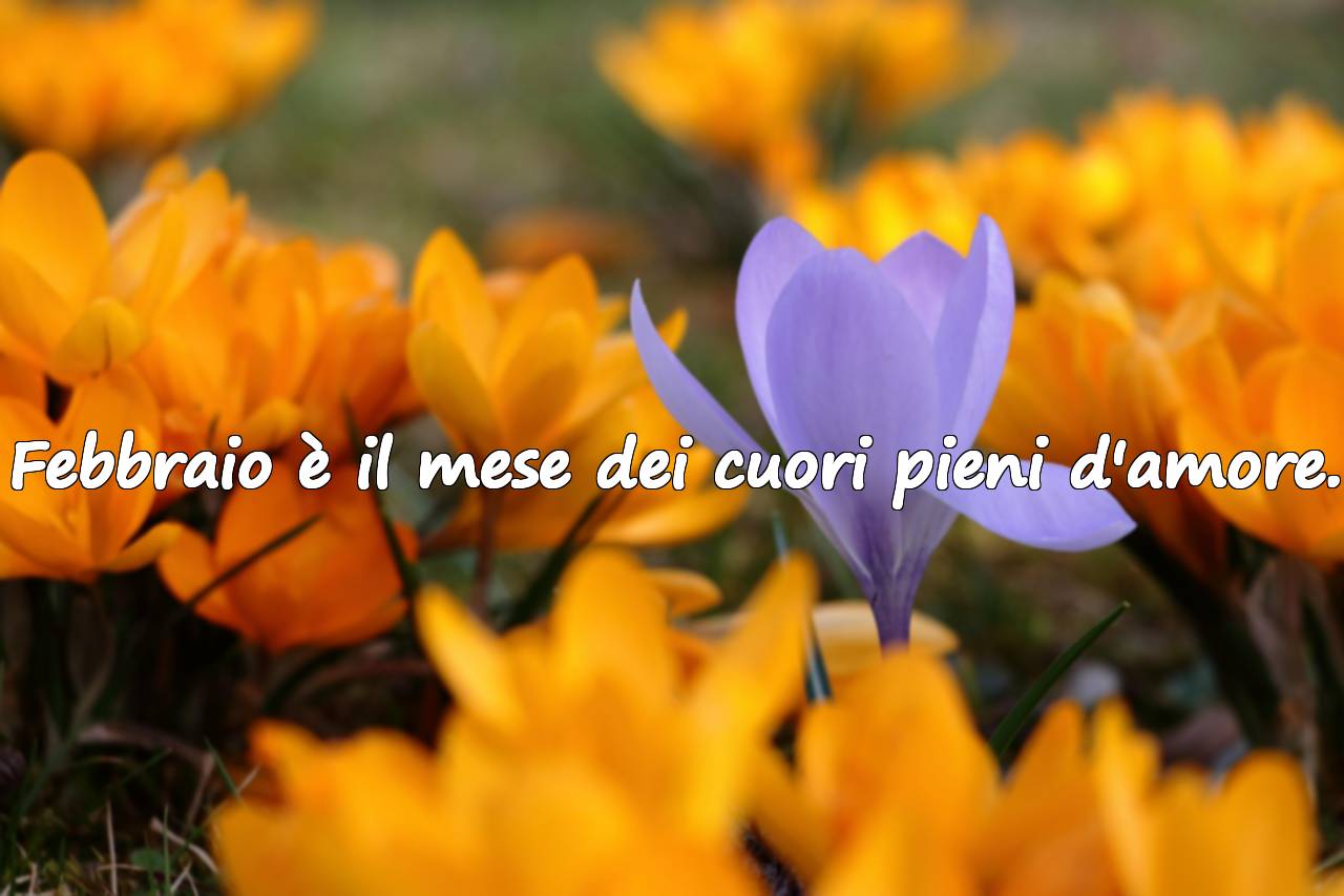 Frasi Significative sul Mese di Febbraio