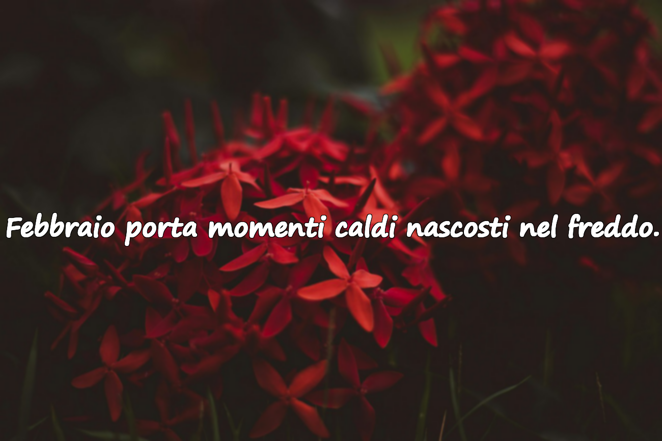 Frasi Significative sul Mese di Febbraio
