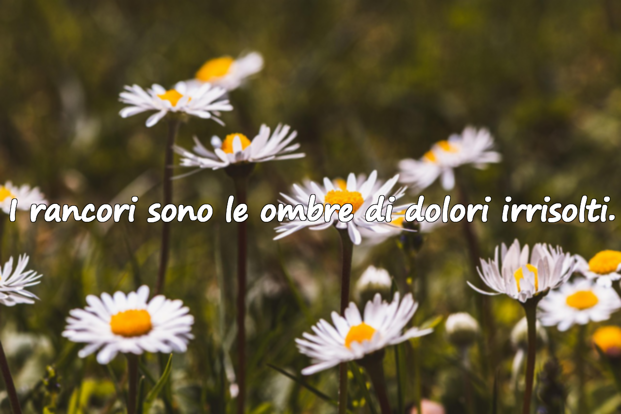 I rancori sono le ombre di dolori irrisolti.