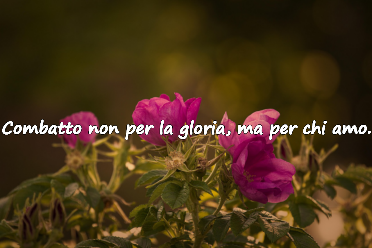 Frasi Significative sul Servizio Militare