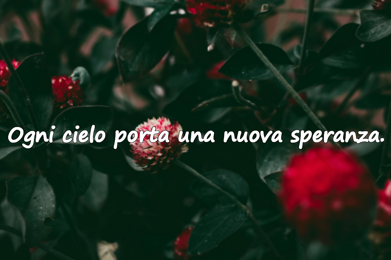 Frasi Sul Cielo