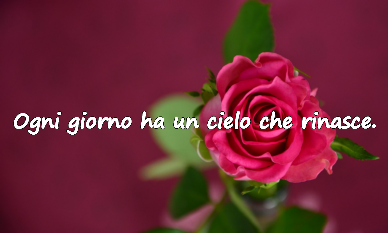 Frasi Sul Cielo