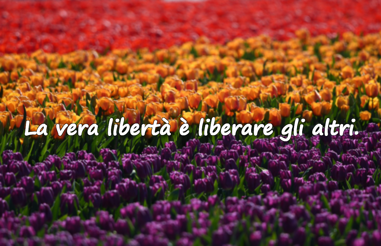 La vera libertà è liberare gli altri.