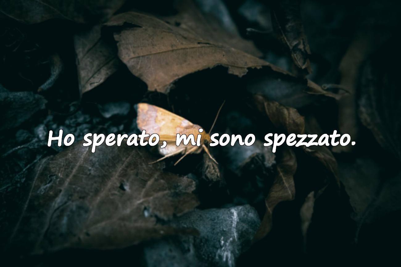 Ho sperato, mi sono spezzato.