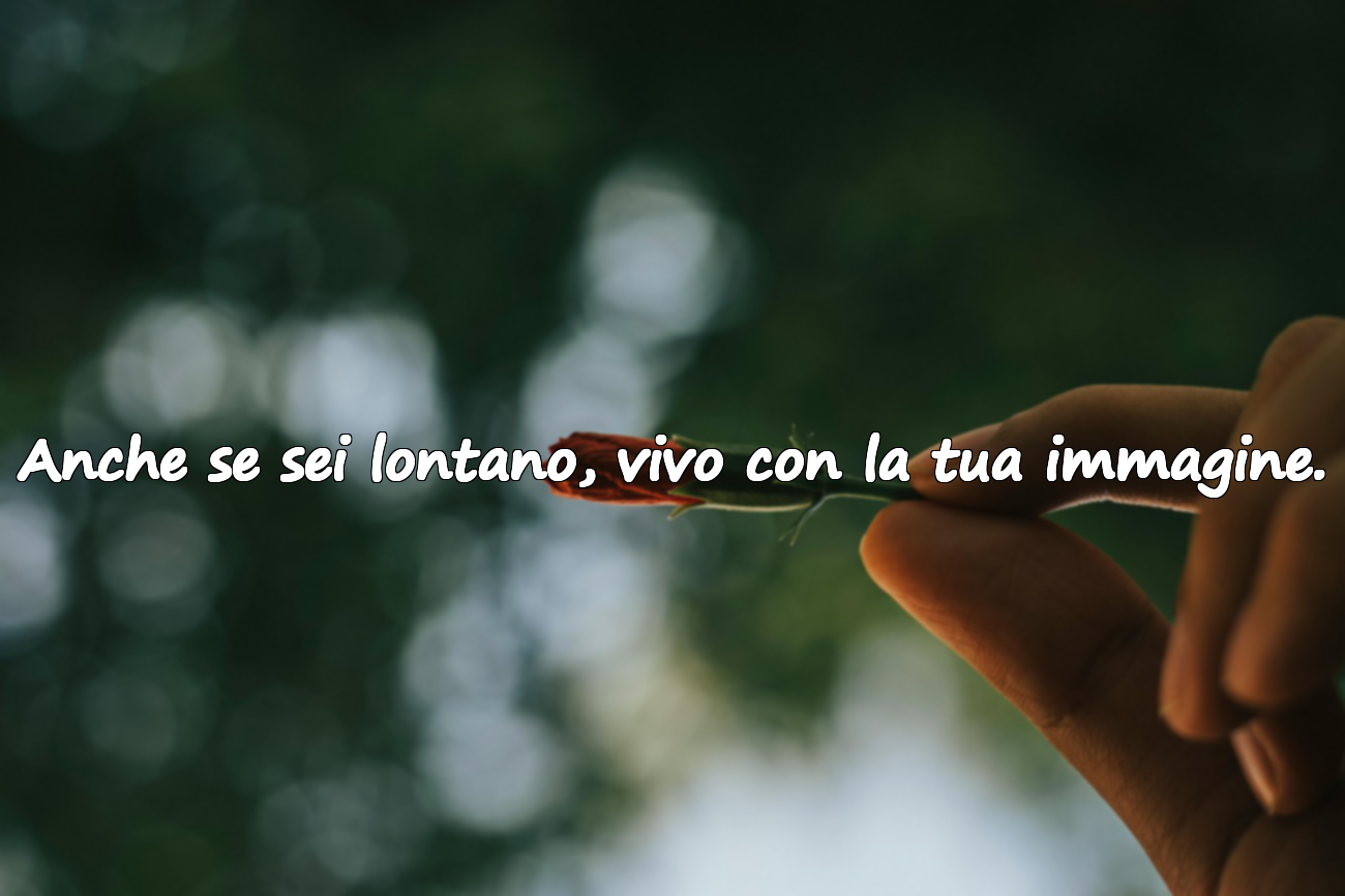 Frasi d’amore impossibili