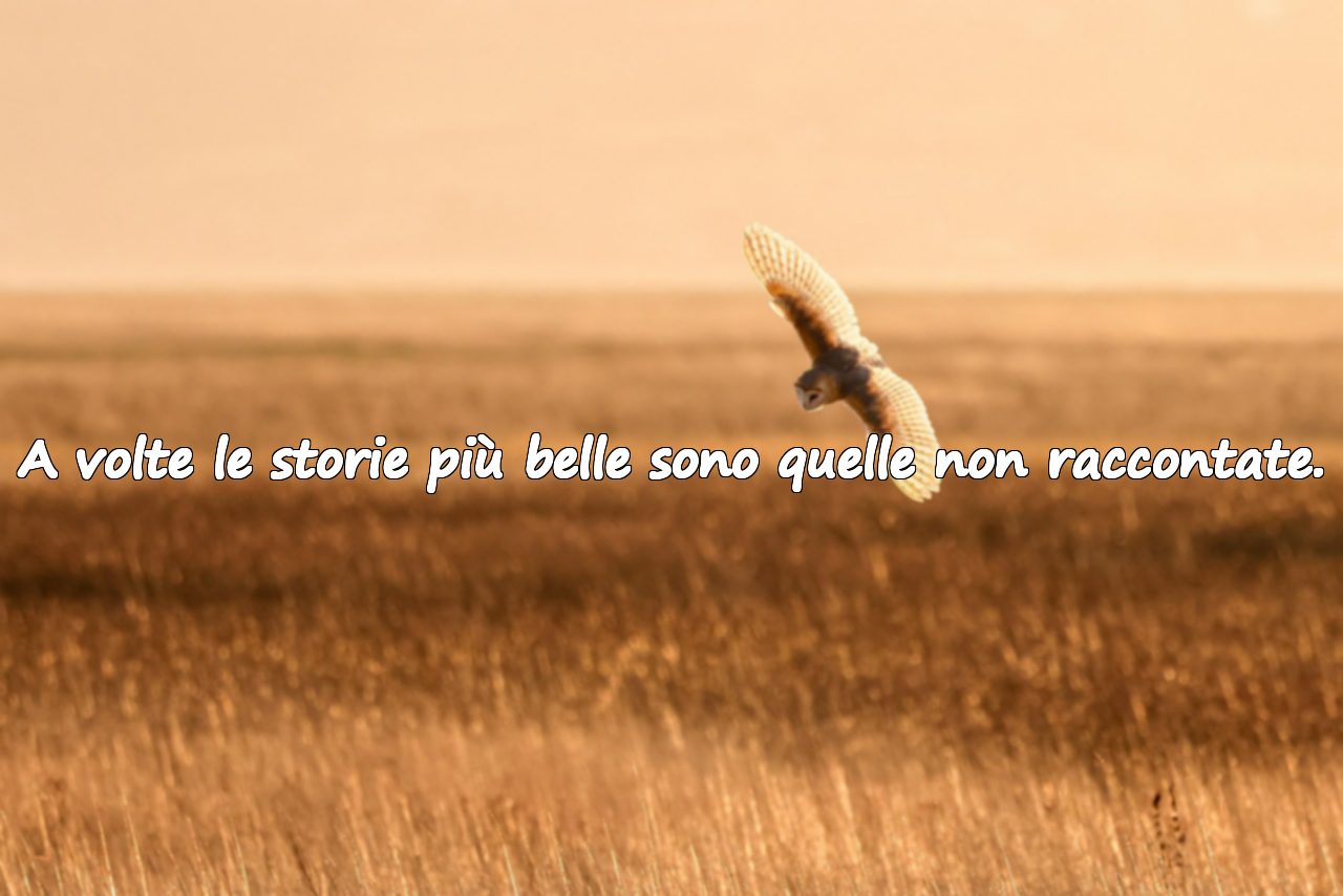 Frasi d’amore impossibili