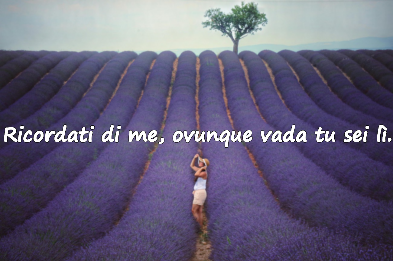 Frasi di Addio