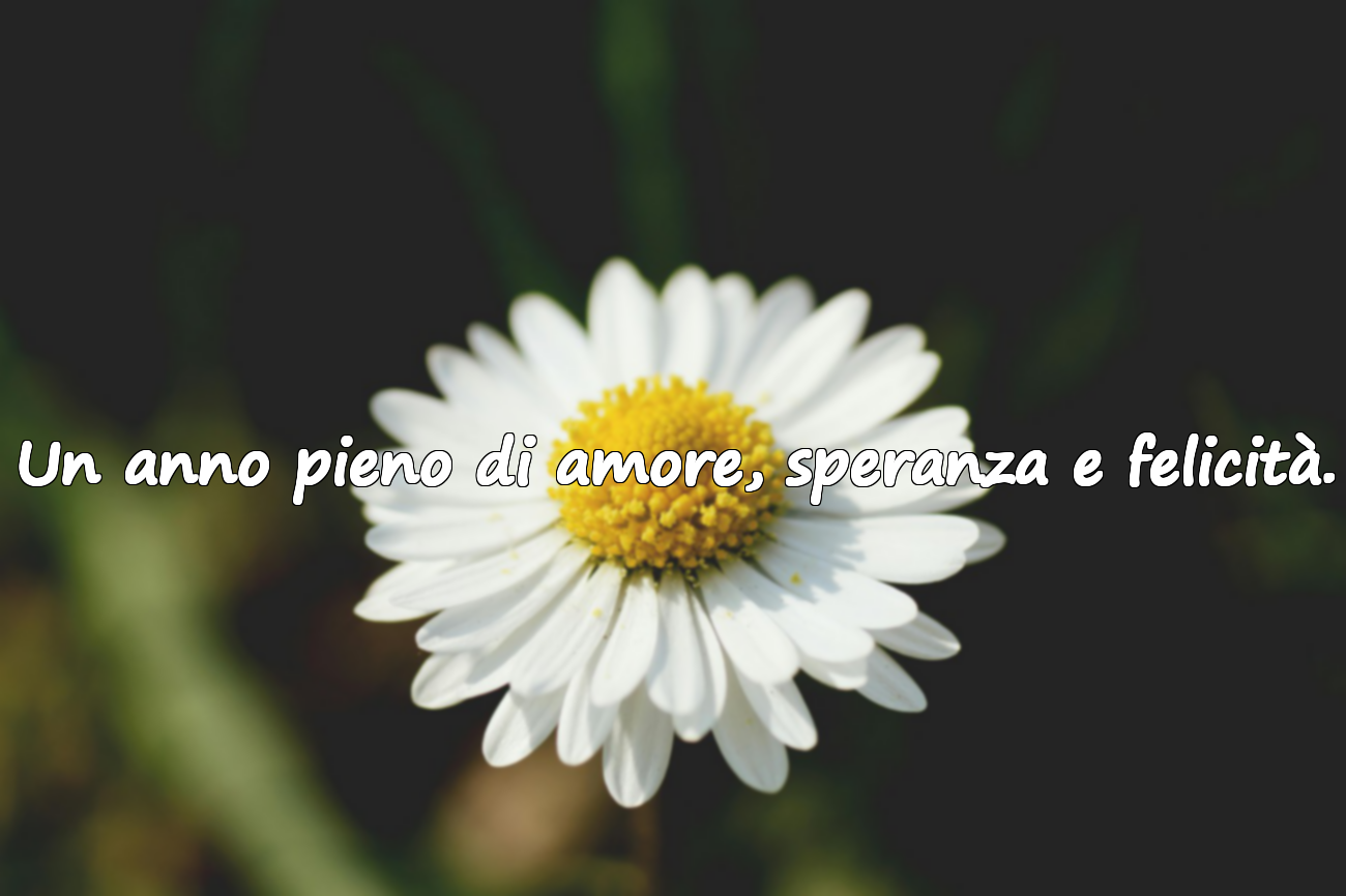 Frasi di Capodanno