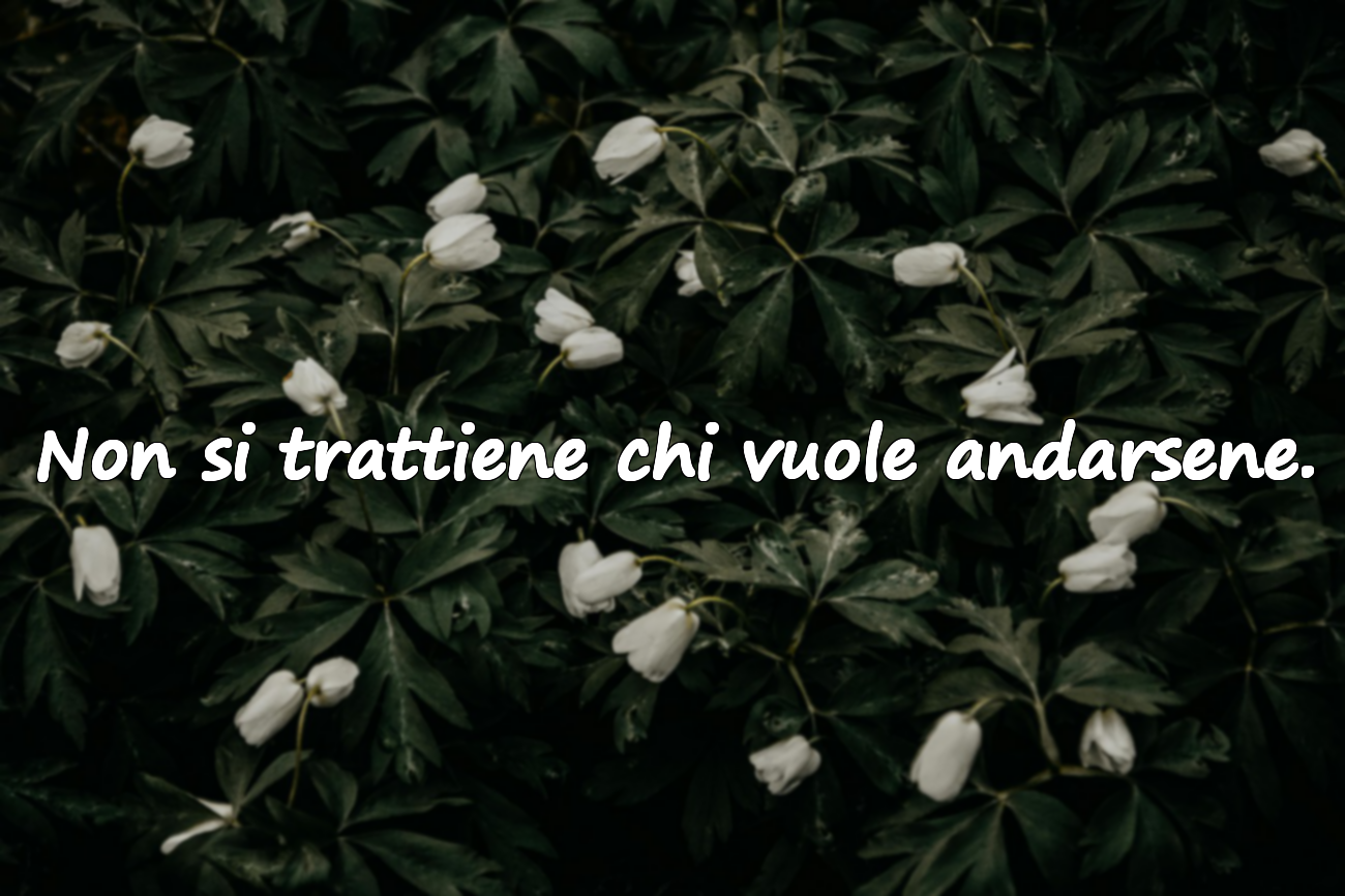 Frasi di rottura