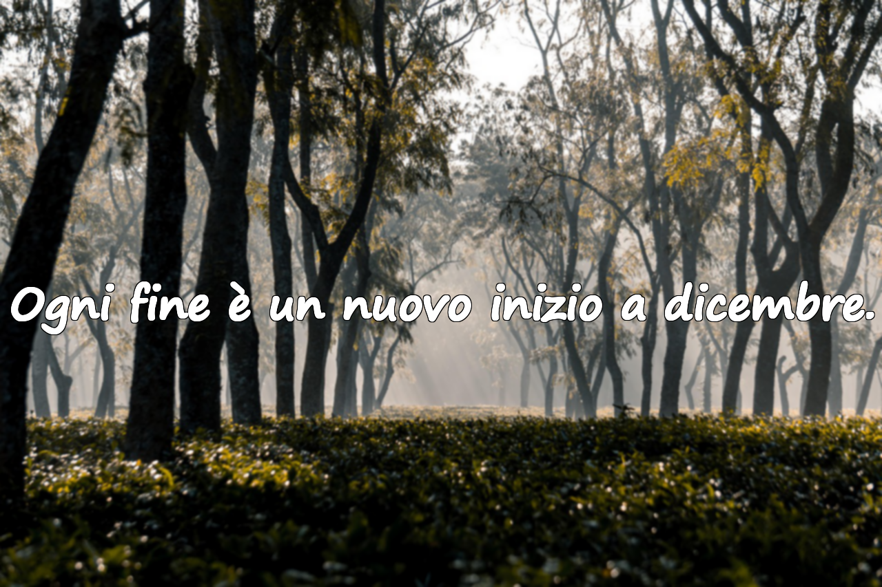 Frasi significative sul mese di dicembre