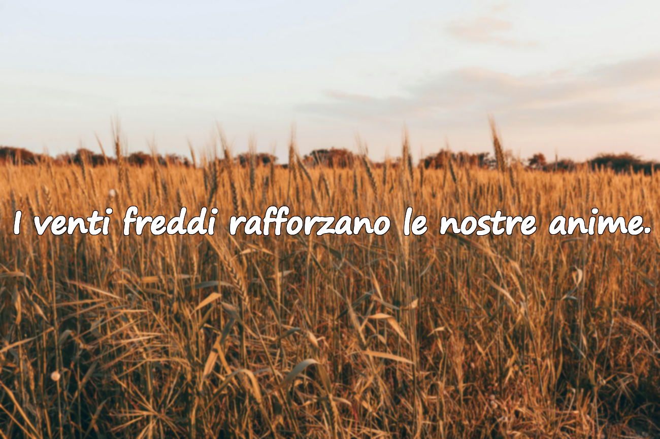 Frasi significative sul mese di dicembre