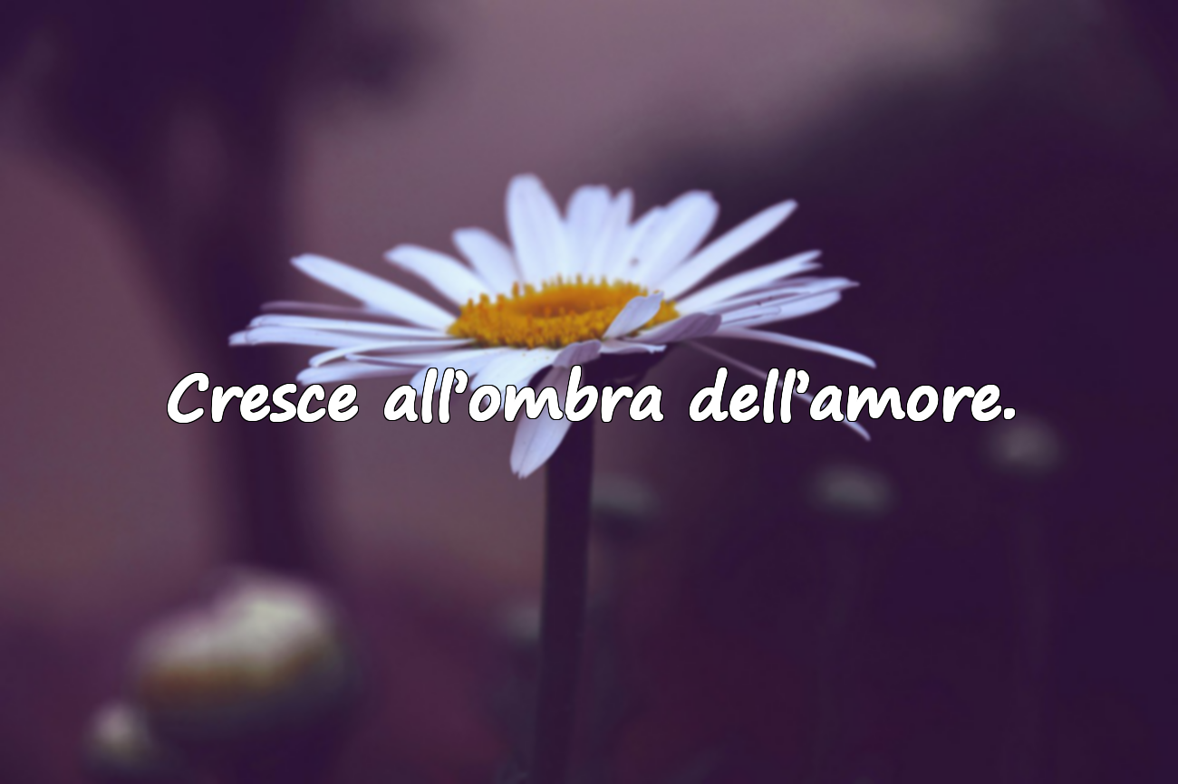 Frasi significative sull’insensibilità