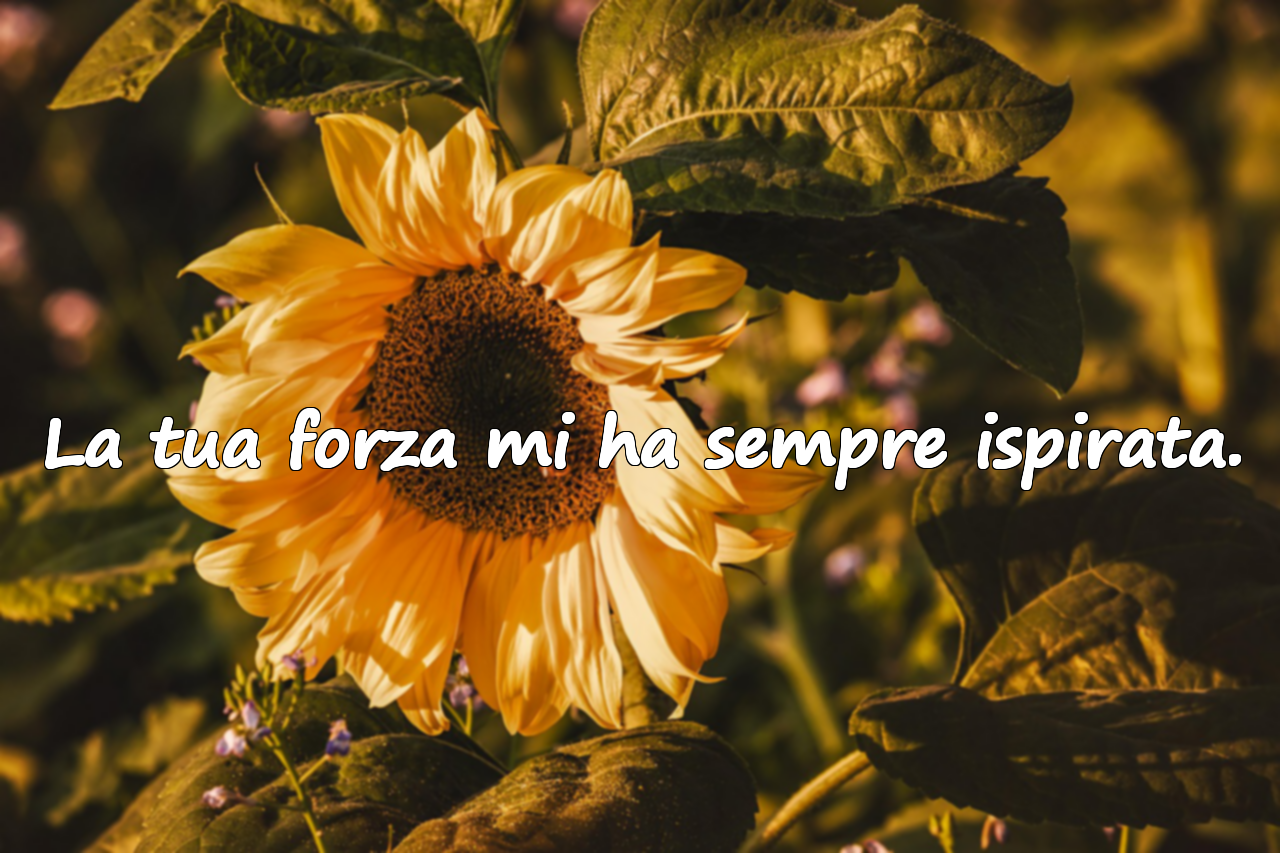 Frasi significative sulla mamma