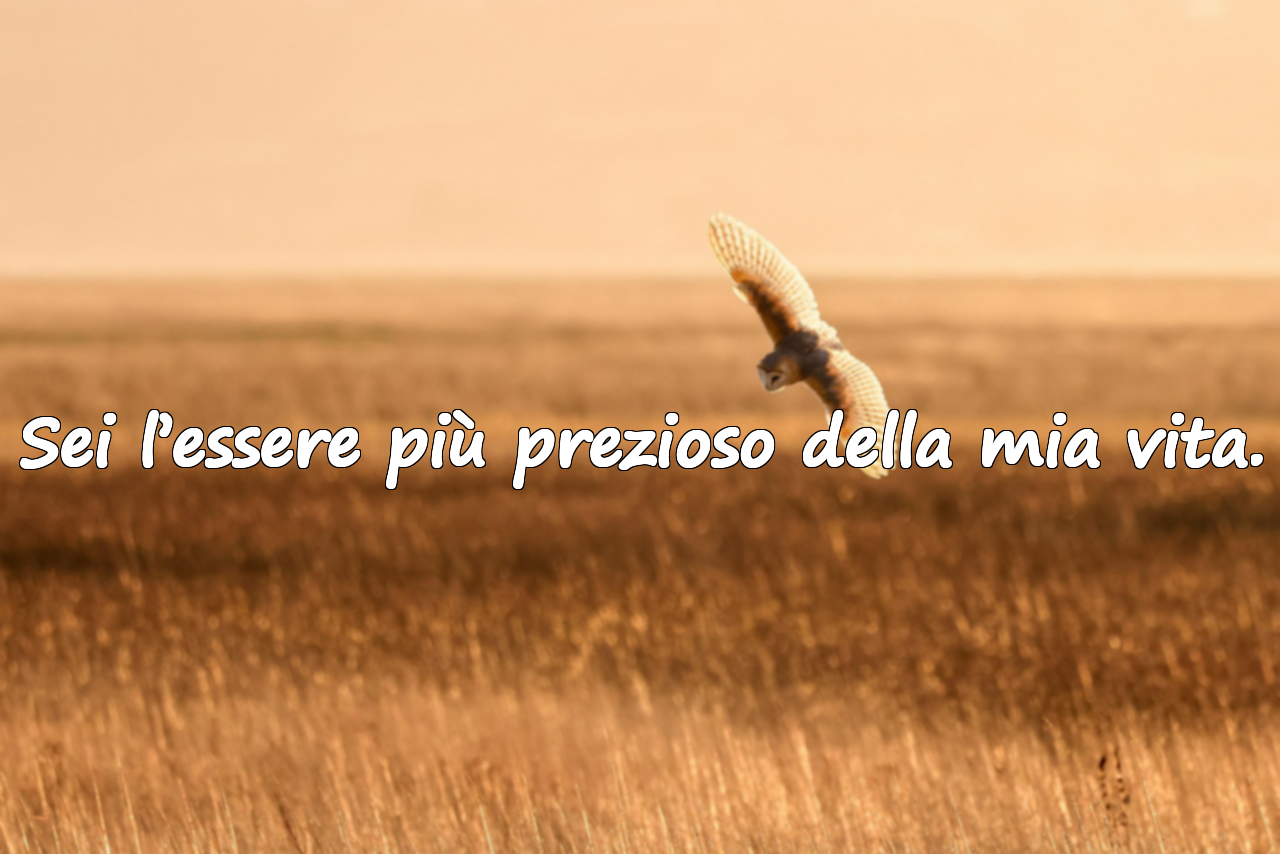 Frasi significative sulla mamma