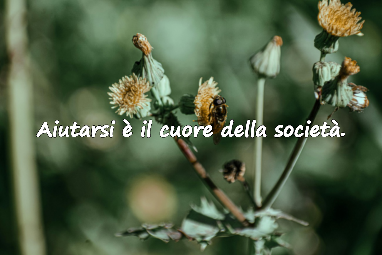 Aiutarsi è il cuore della società.