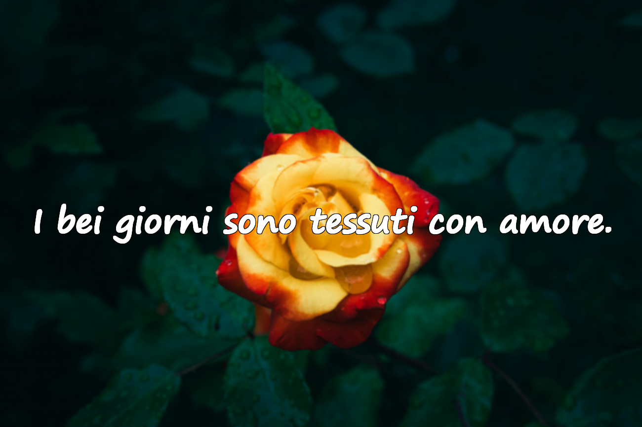 I bei giorni sono tessuti con amore.