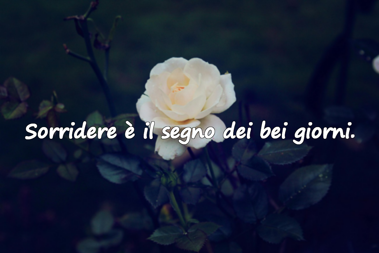 Frasi sui Bei Giorni