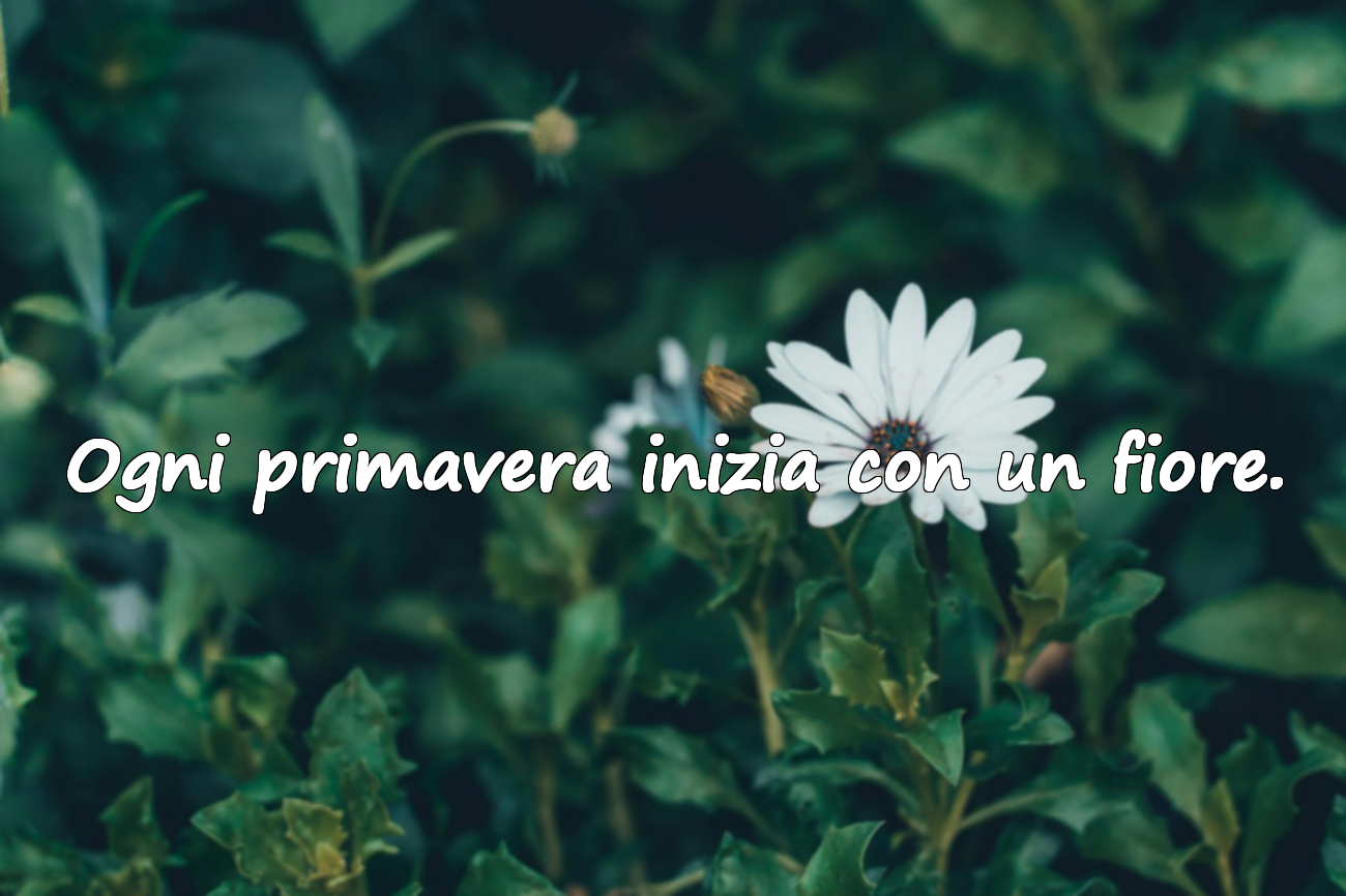 Ogni primavera inizia con un fiore.