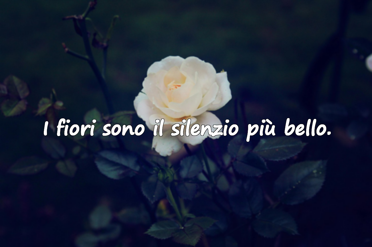 Frasi sui Fiori