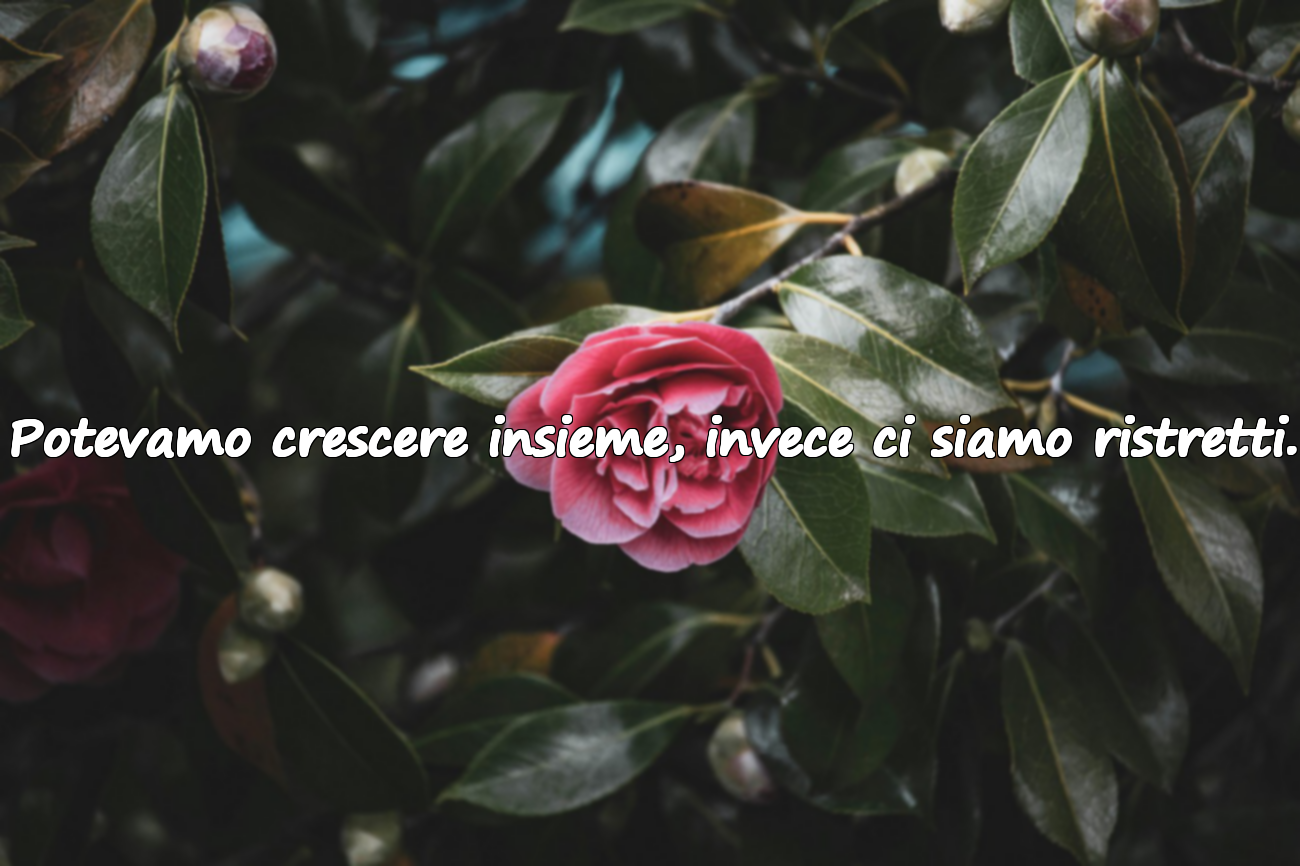 Frasi sul Cambiamento nelle Relazioni