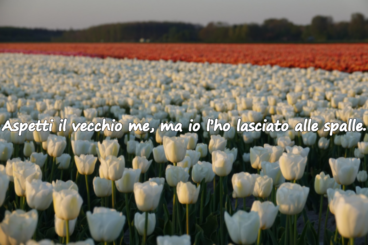 Frasi sul Cambiamento nelle Relazioni