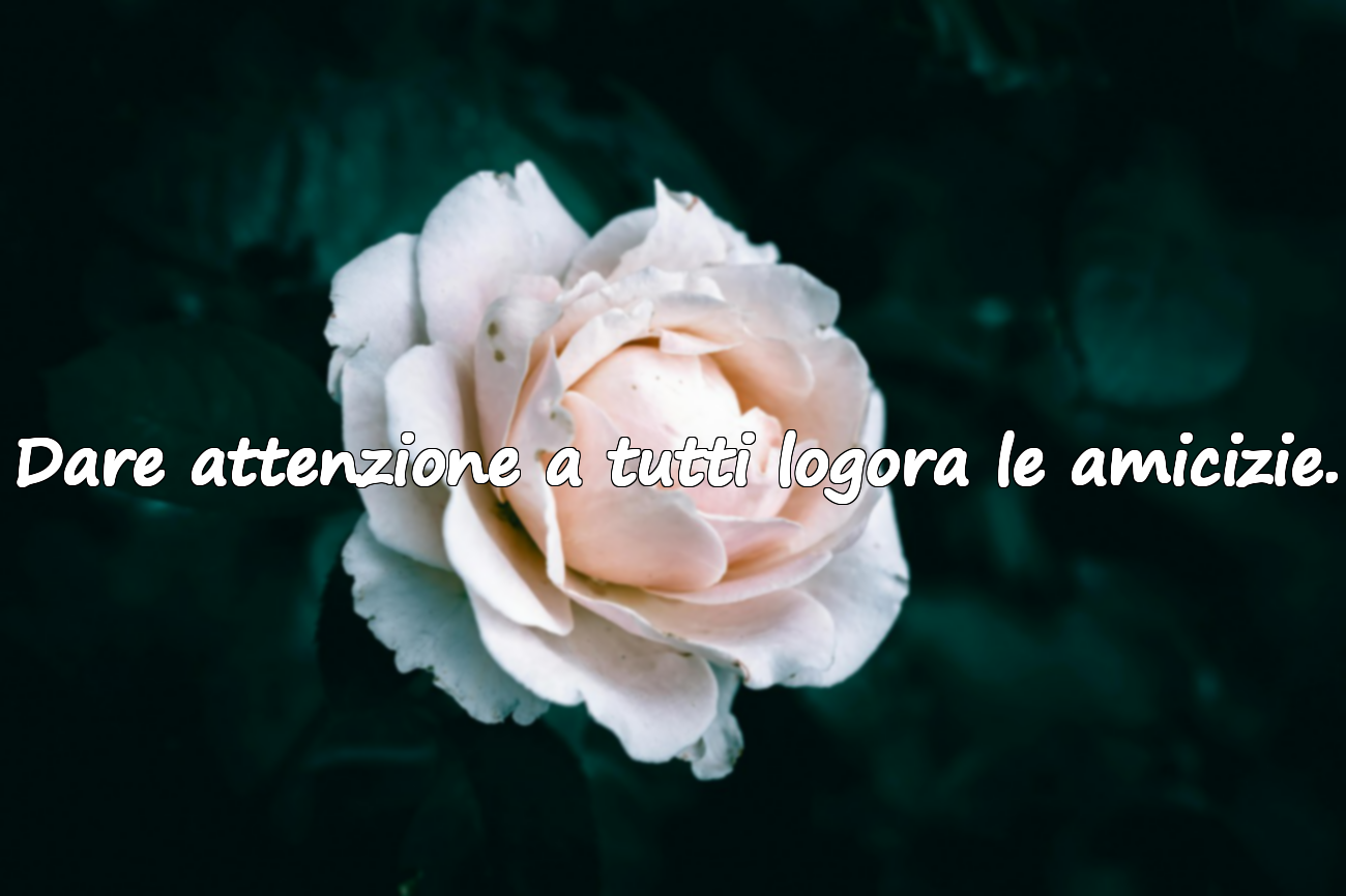 Frasi sul Dare Attenzione