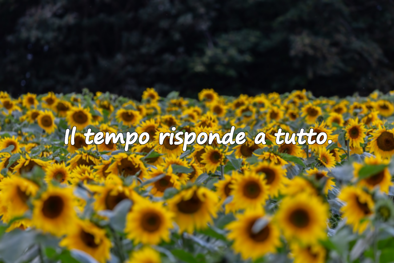 Il tempo risponde a tutto.