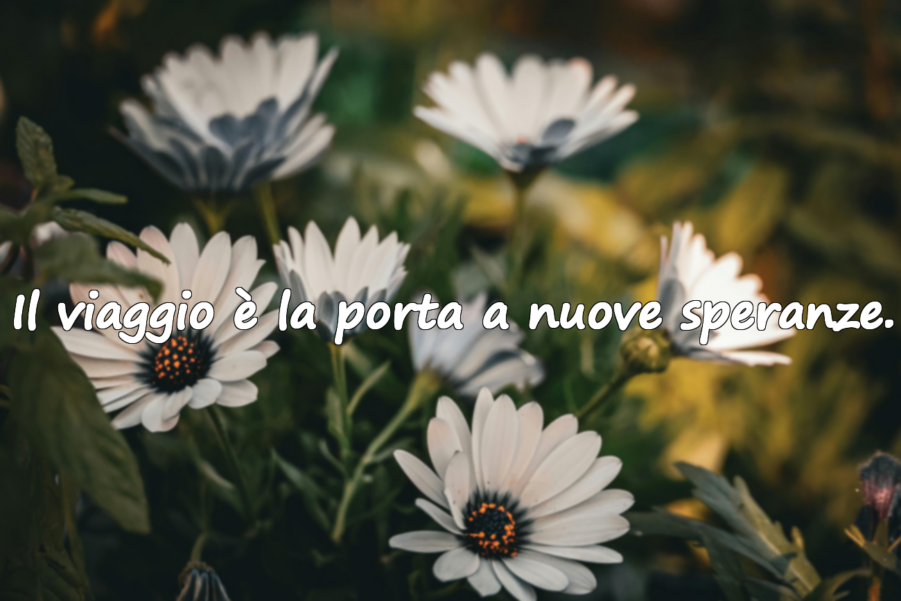 Frasi sul Viaggio