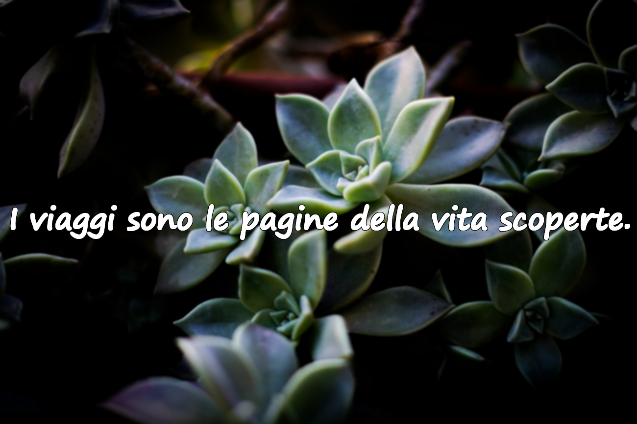 Frasi sul Viaggio
