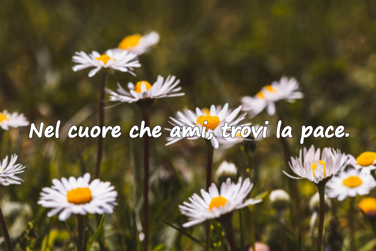 Frasi sul cuore