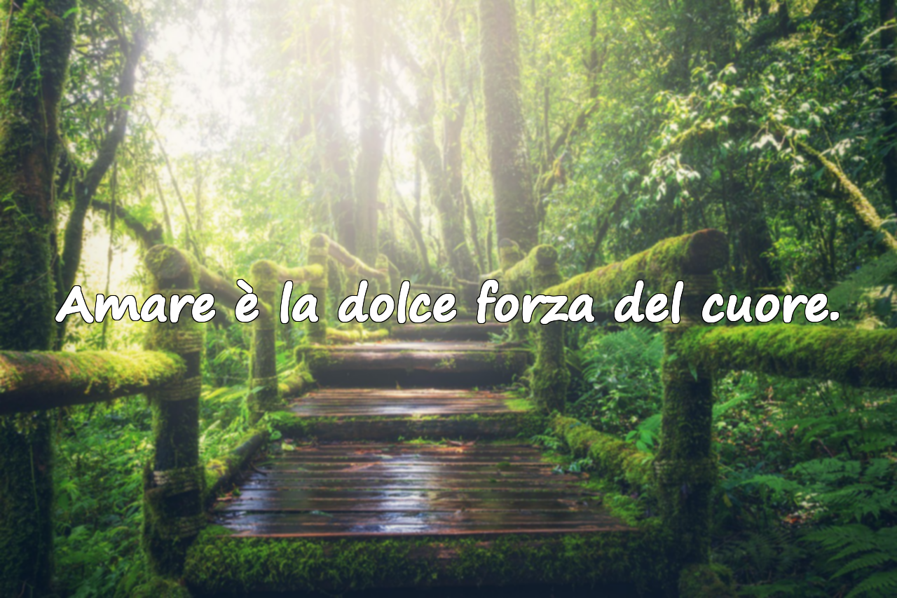 Frasi sul cuore