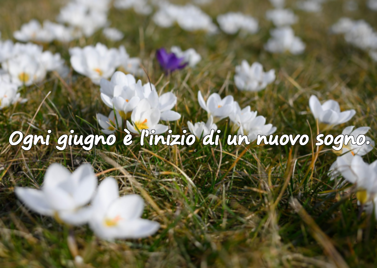 Frasi sul mese di giugno