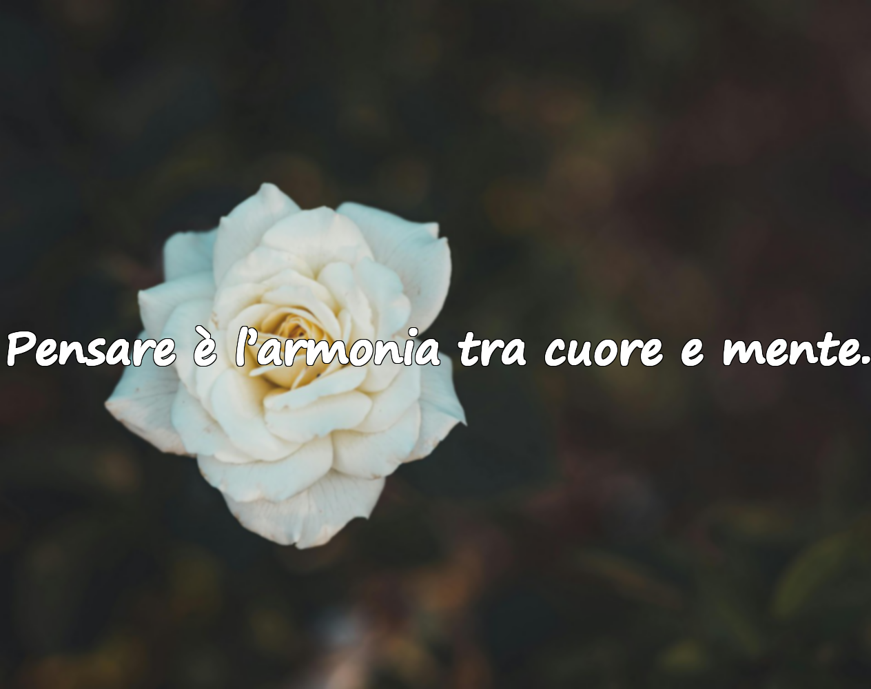Frasi sul pensare