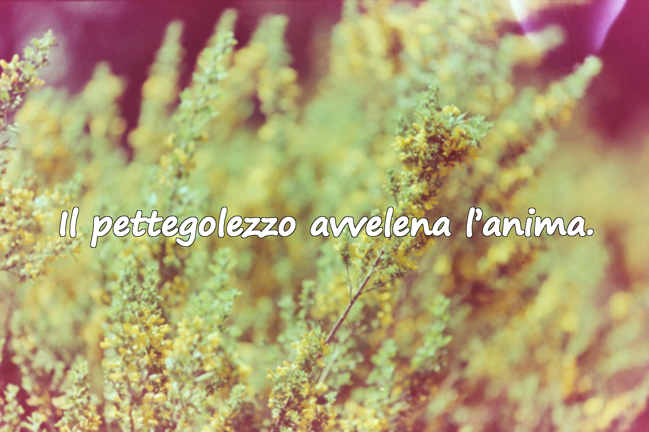 Il pettegolezzo avvelena l’anima.