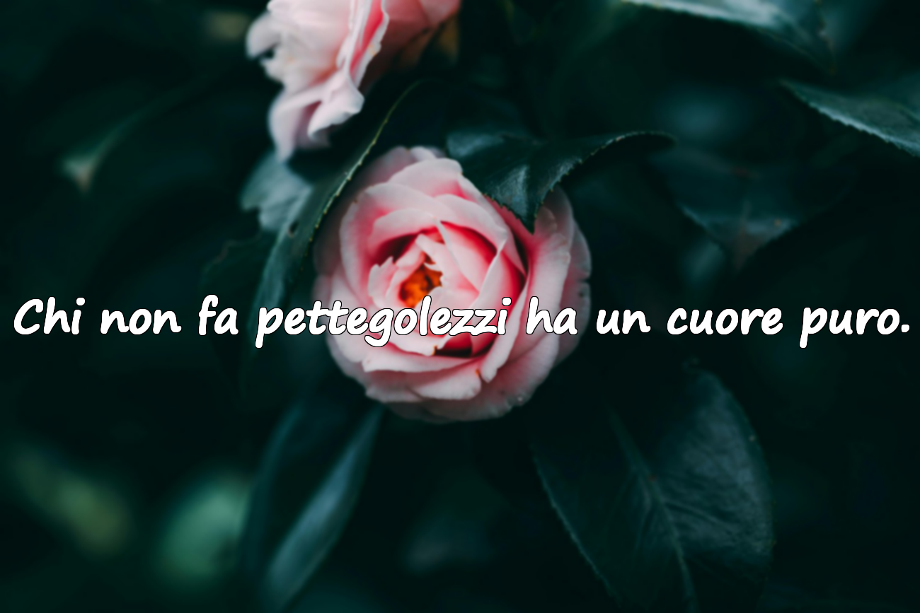 Frasi sul pettegolezzo