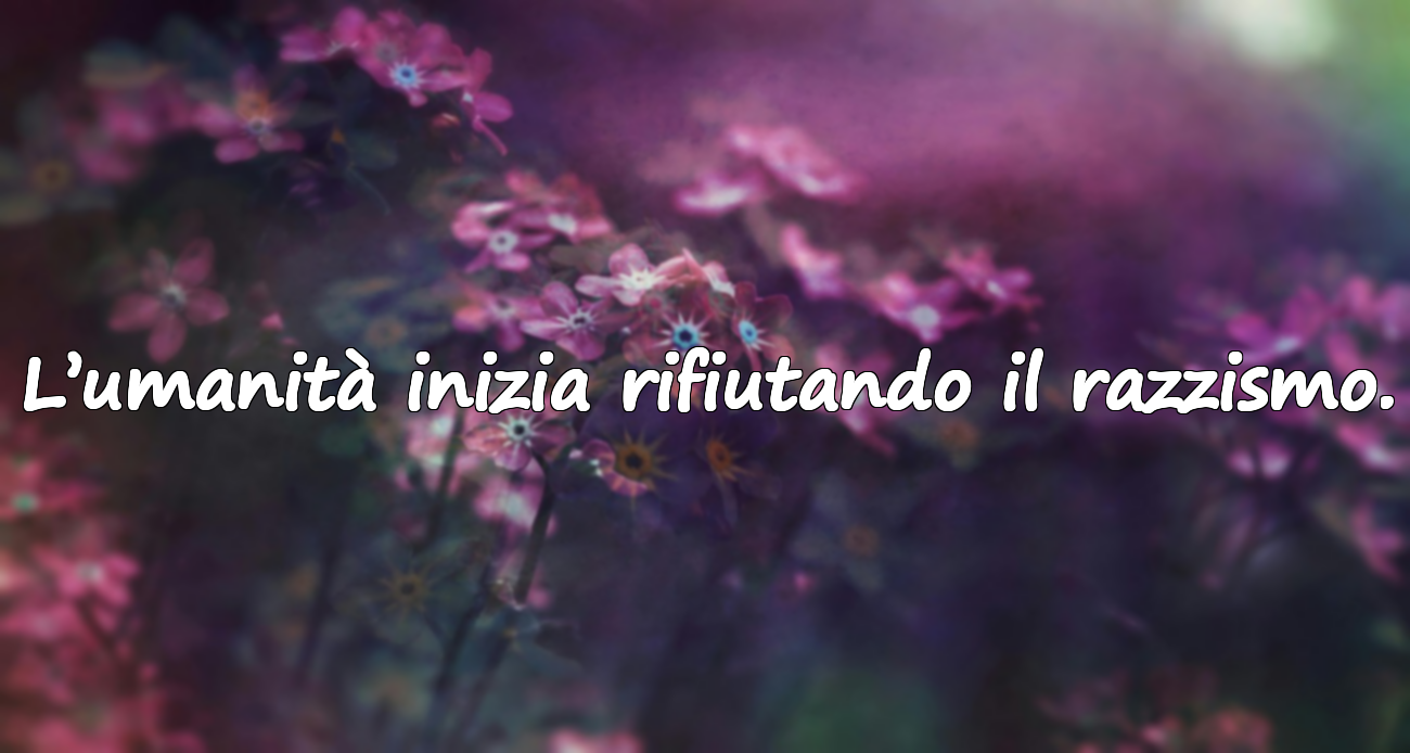 Frasi sul razzismo