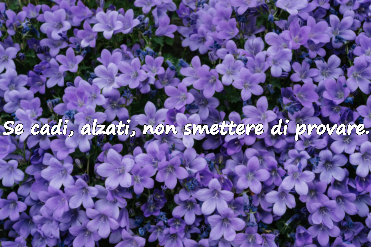 Frasi sul rimpianto