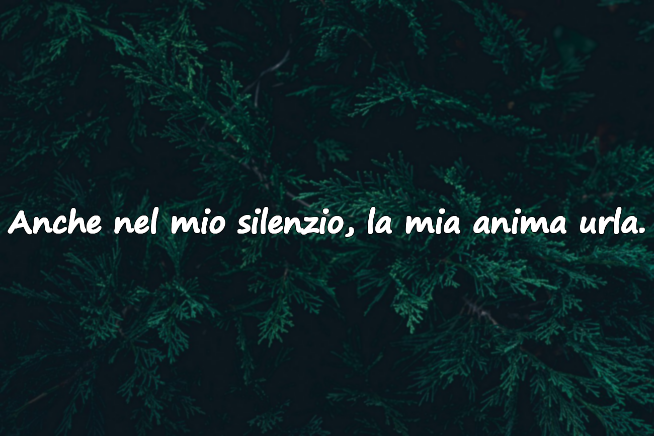 Anche nel mio silenzio, la mia anima urla.