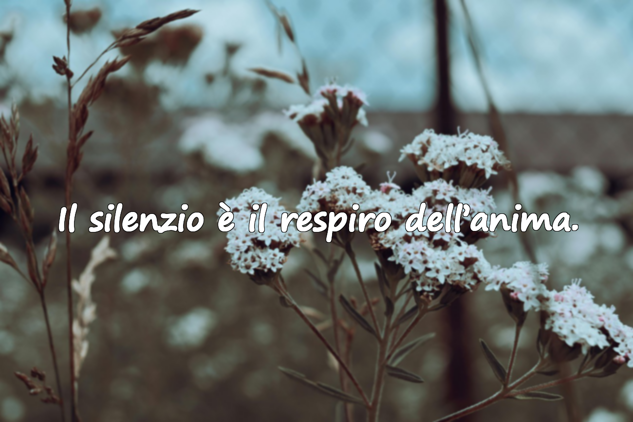 Il silenzio è il respiro dell’anima.