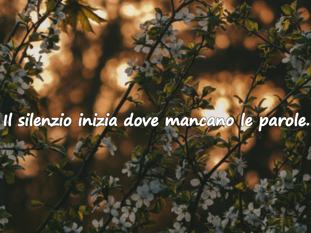 Il silenzio inizia dove mancano le parole.