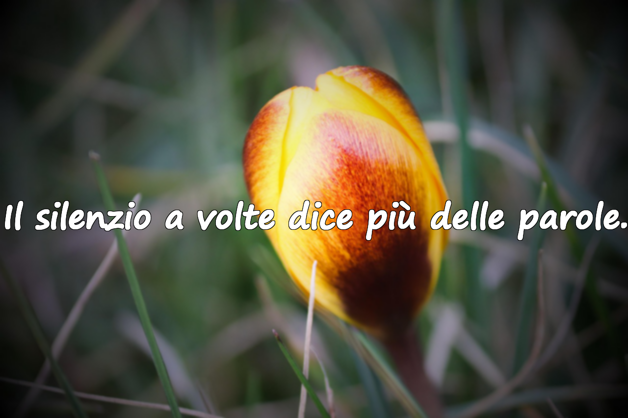 Il silenzio a volte dice più delle parole.