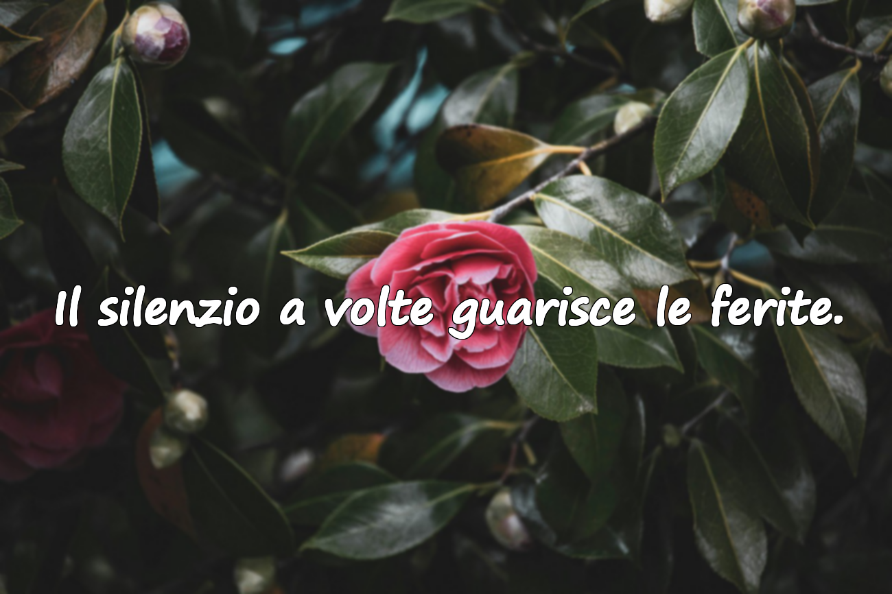Il silenzio a volte guarisce le ferite.