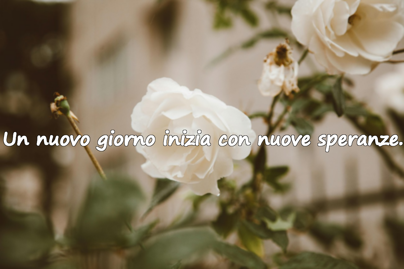 Frasi sul sorgere del sole
