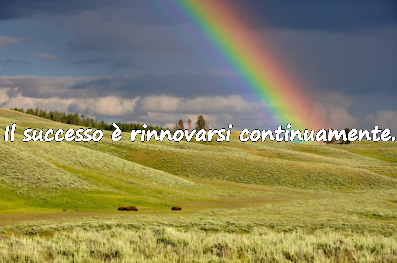 Frasi sul successo