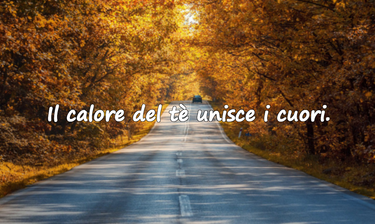 Frasi sul tè