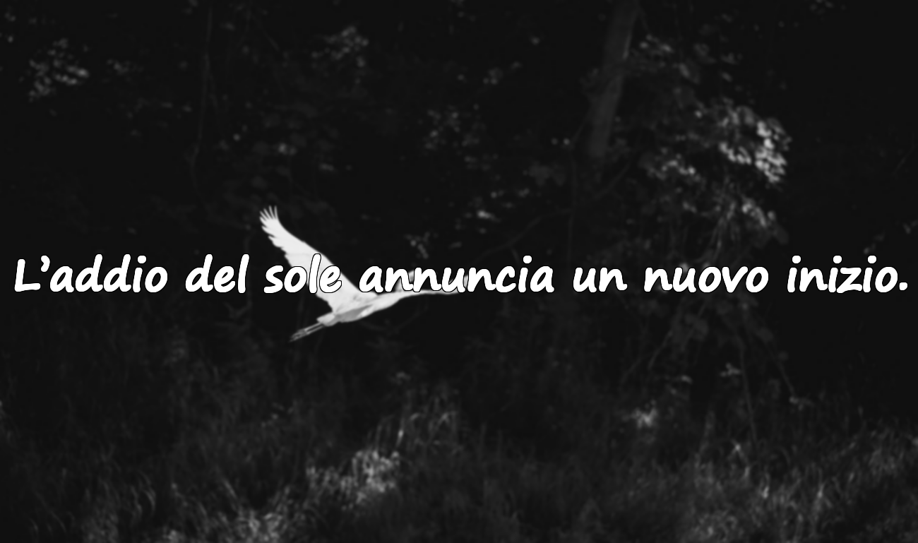 L’addio del sole annuncia un nuovo inizio.