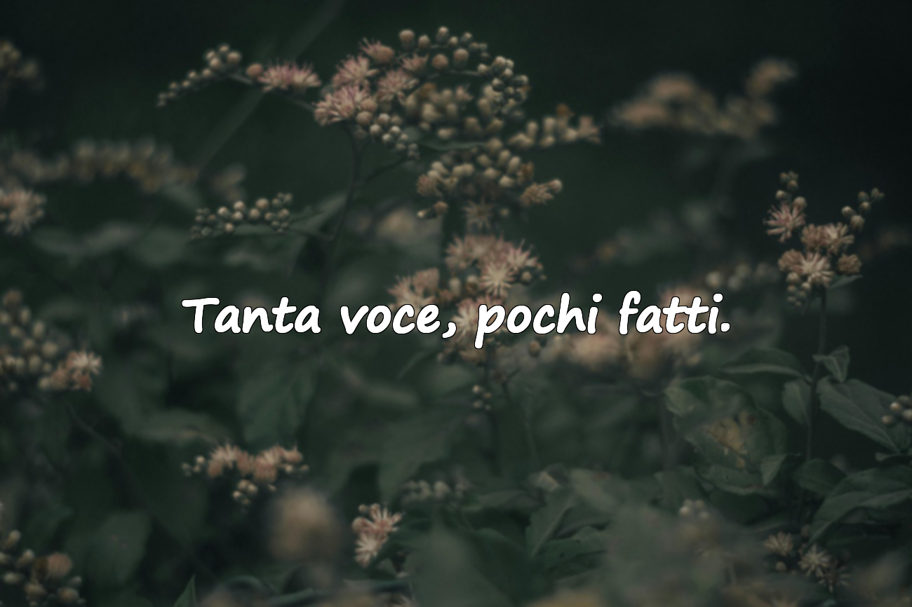 Tanta voce, pochi fatti.