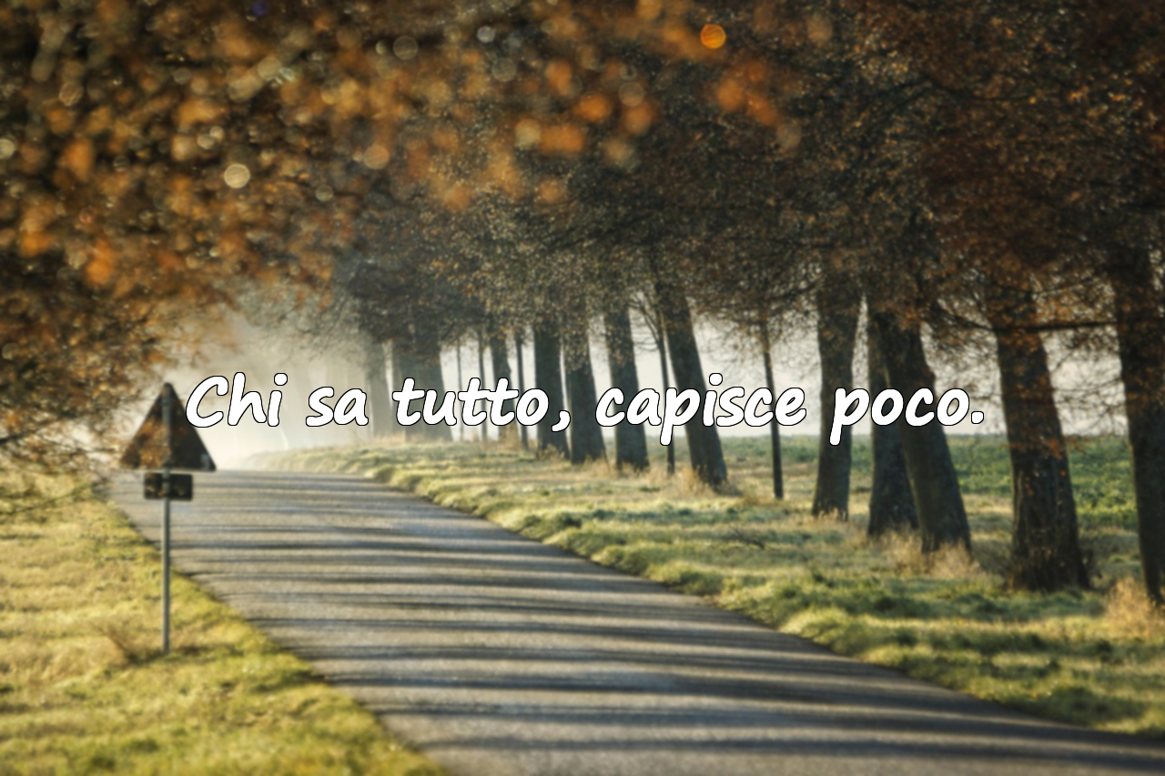 Frasi sull’Arroganza